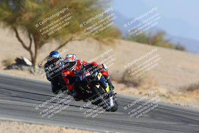 media/Jan-14-2024-SoCal Trackdays (Sun) [[2e55ec21a6]]/Turn 4 Tree of Life (155pm)/